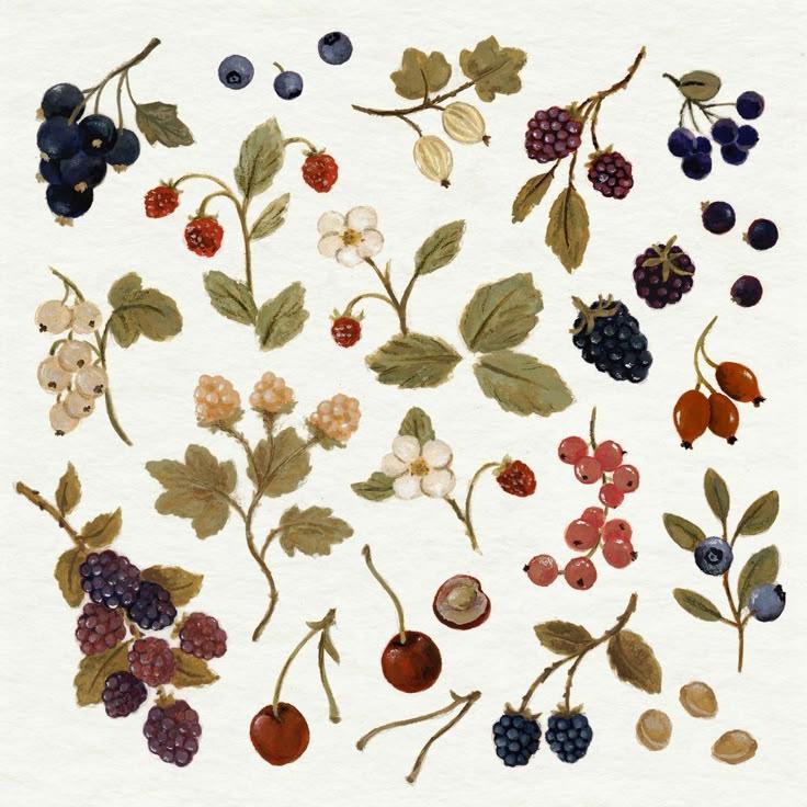 Wild Berry Echoes: Forest's Finest Collection Gift